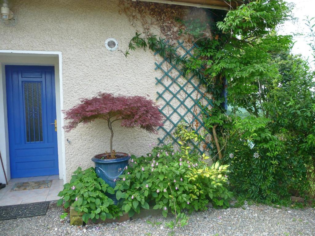 Maison Artigouha Bed & Breakfast Loubieng Exterior photo